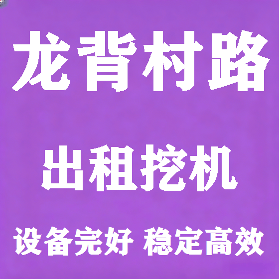 北京龙背村路挖机租赁图